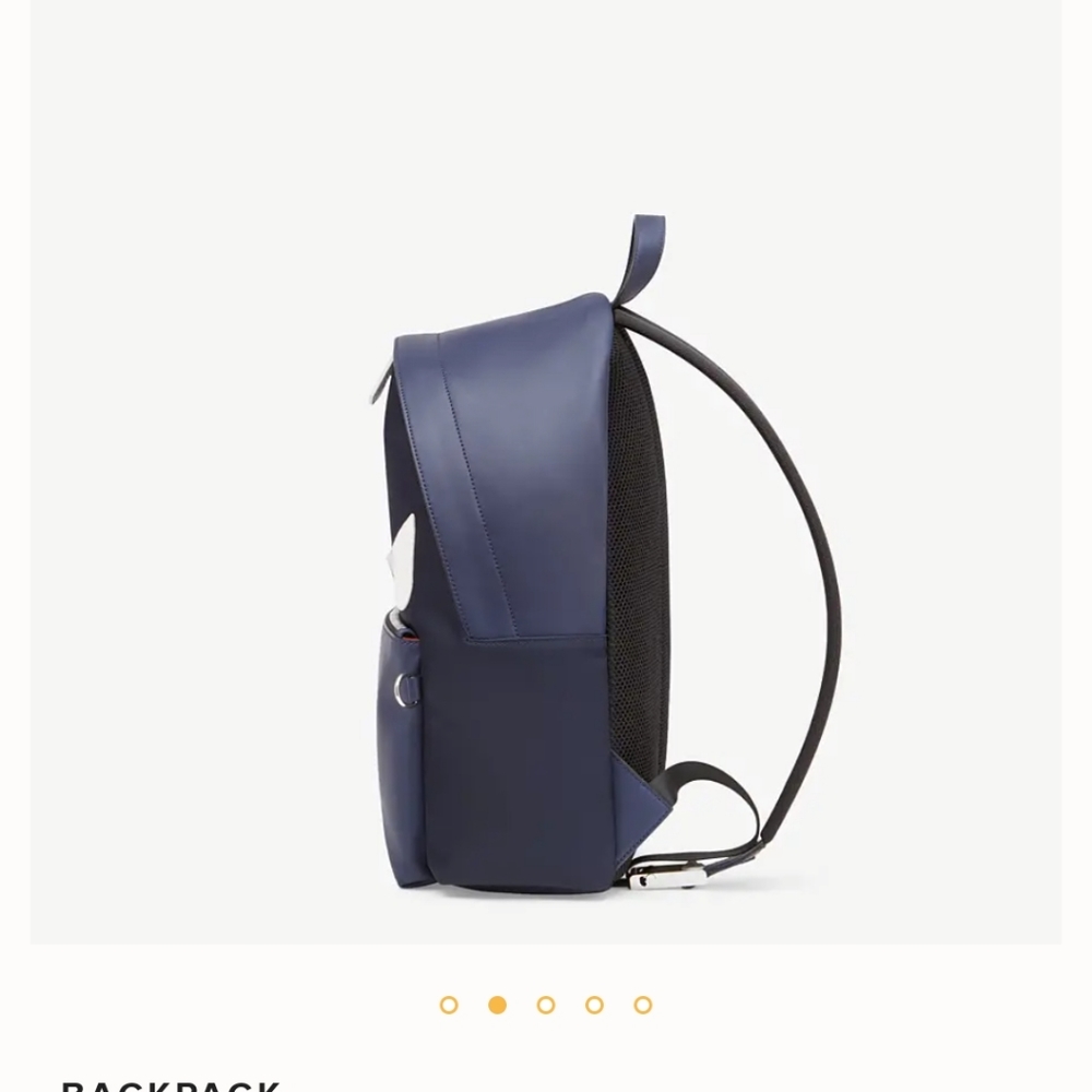 Back Pack